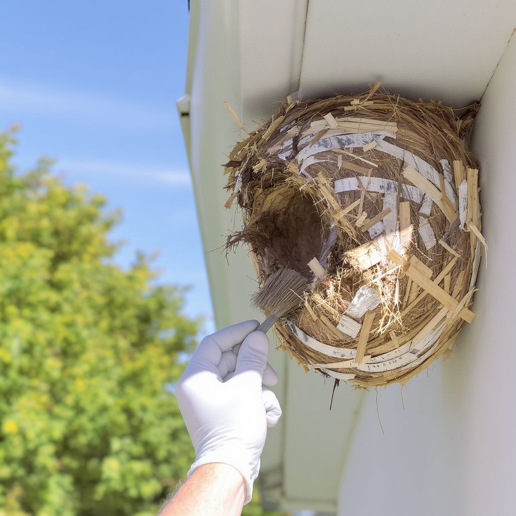 A mesterséges fecskefészkek segítik a fecskék populációját.